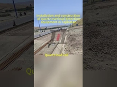 Oorsprong Weegsysteem in beweging Snelheid 0,5-105 km/u voor nauwkeurig wegen